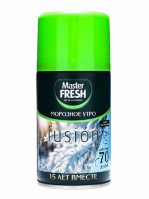 MASTER FRESH освежитель воздуха морозное утро см.баллон 250мл